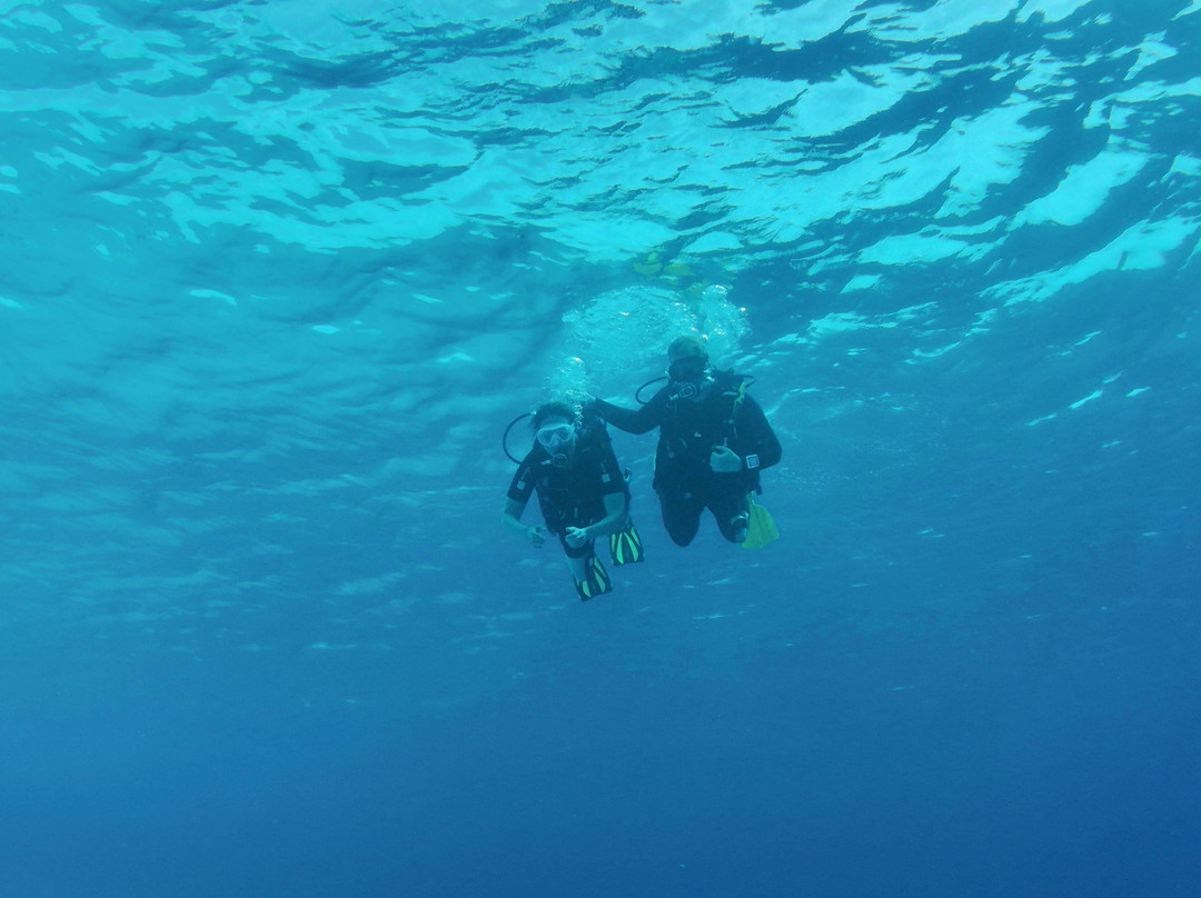 Porto Mari Dive Center-Sint Willibrordus必去景点