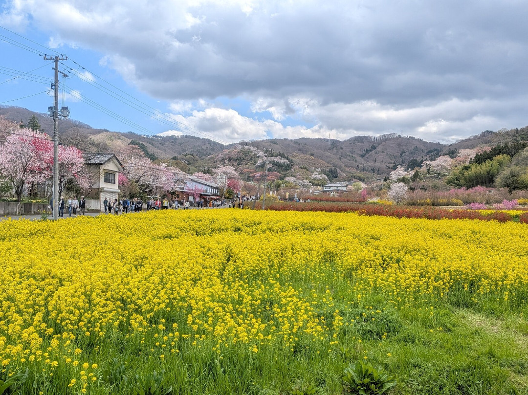 Hanamiyama Park-福岛市必去景点