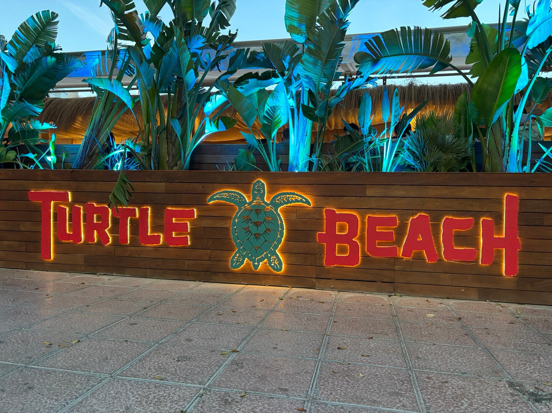 Turtle Beach Palmanova