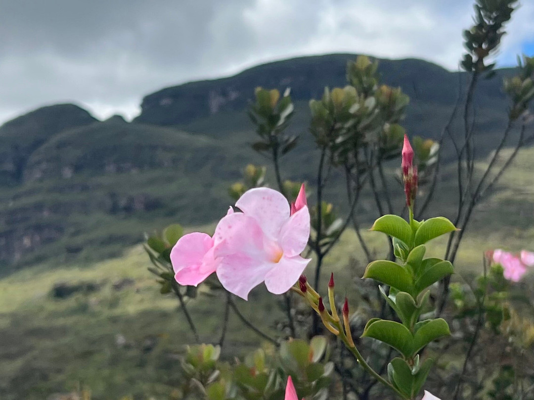 Chapada Trekking - Montanhismo-Igatu必去景点