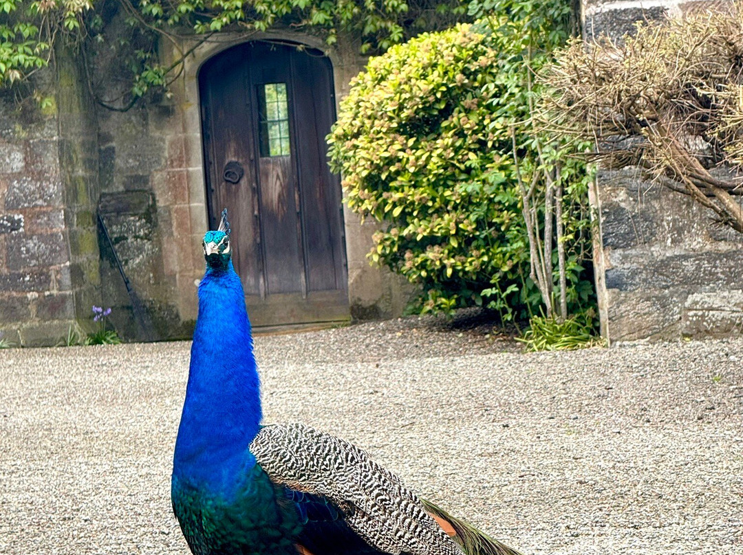 Gwydir Castle-Llanrwst必去景点