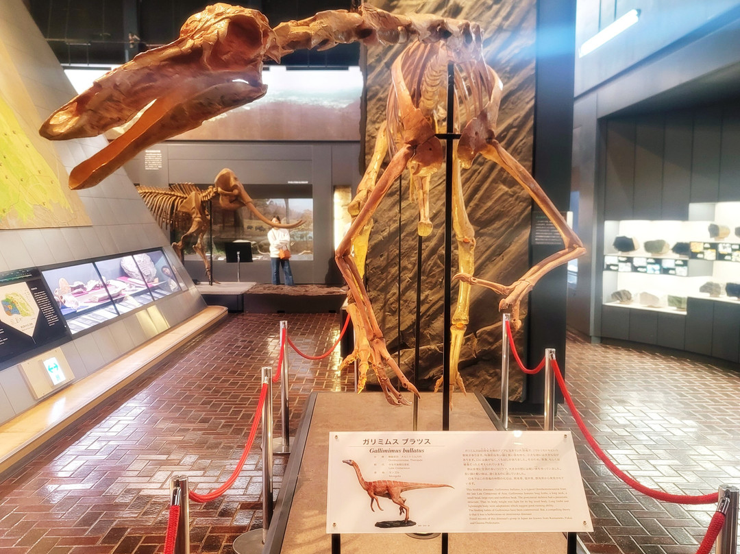 Saitama Museum of Natural History-长瀞町必去景点