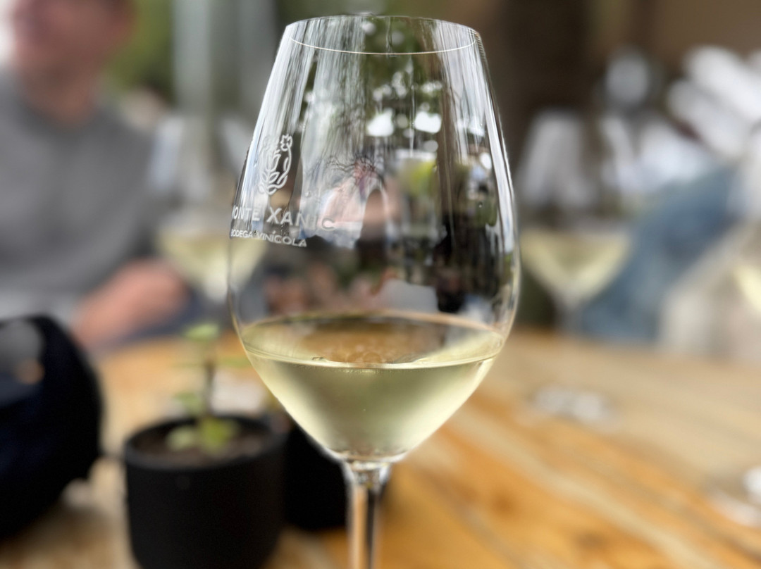 Monte Xanic Bodega Vinícola-Valle de Guadalupe必去景点