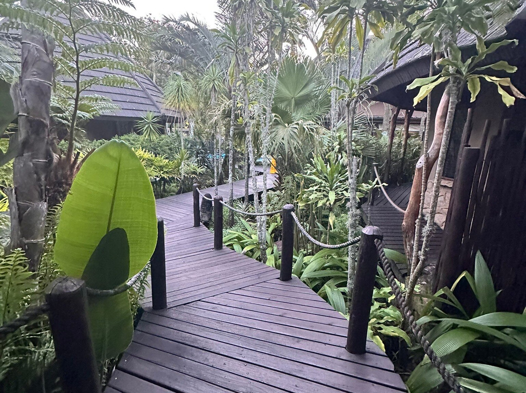 阿非利加旅馆主图