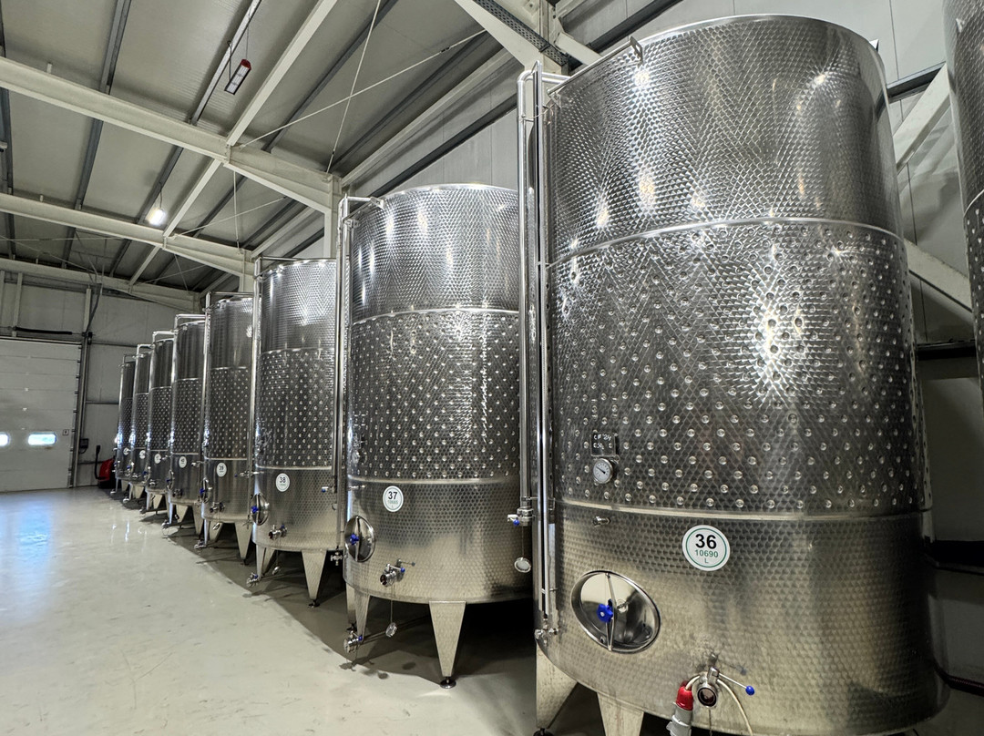 Balla Geza Winery-阿拉德必去景点