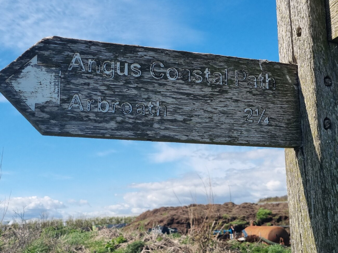 Arbroath Cliffs-Arbroath必去景点