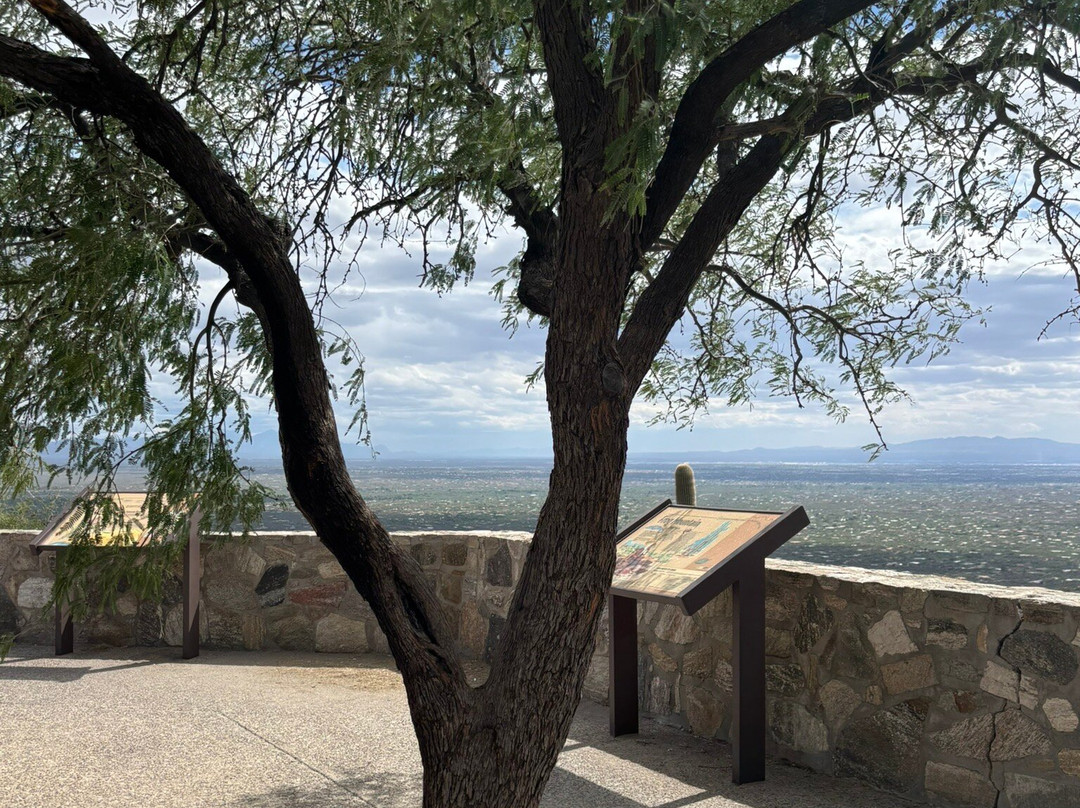 Mt. Lemmon Scenic Byway-图森必去景点