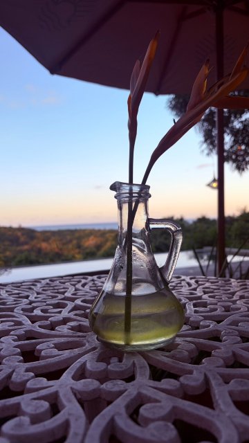 巴伊亚博妮塔精品酒店-旅行者