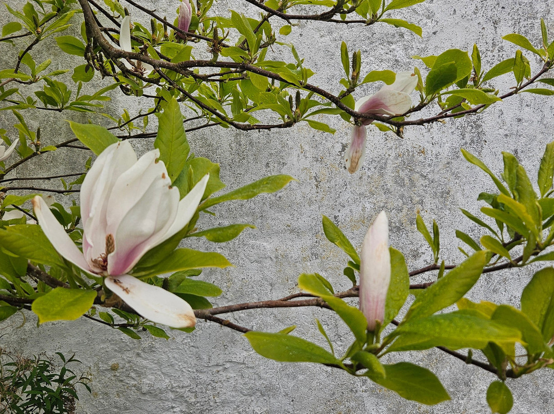 Bosjökloster Slott & Trädgårdar-Hoor必去景点