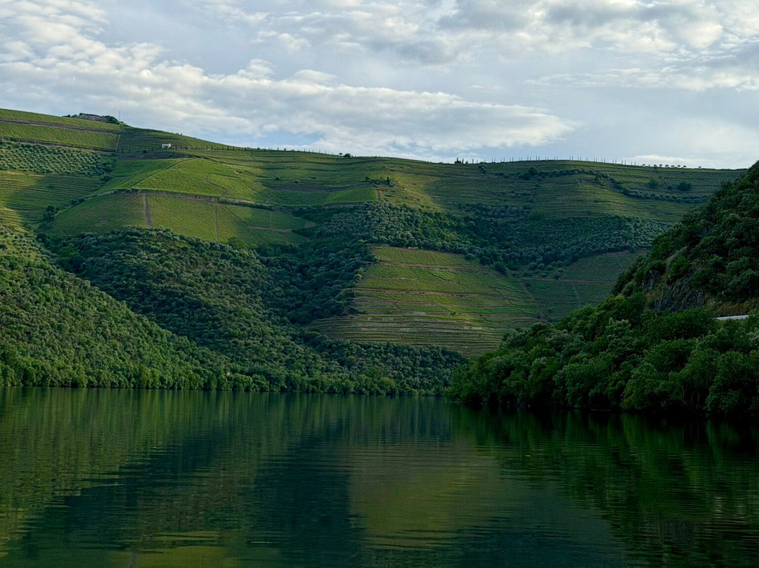 Anima Durius Douro River Cruises-Pinhao必去景点