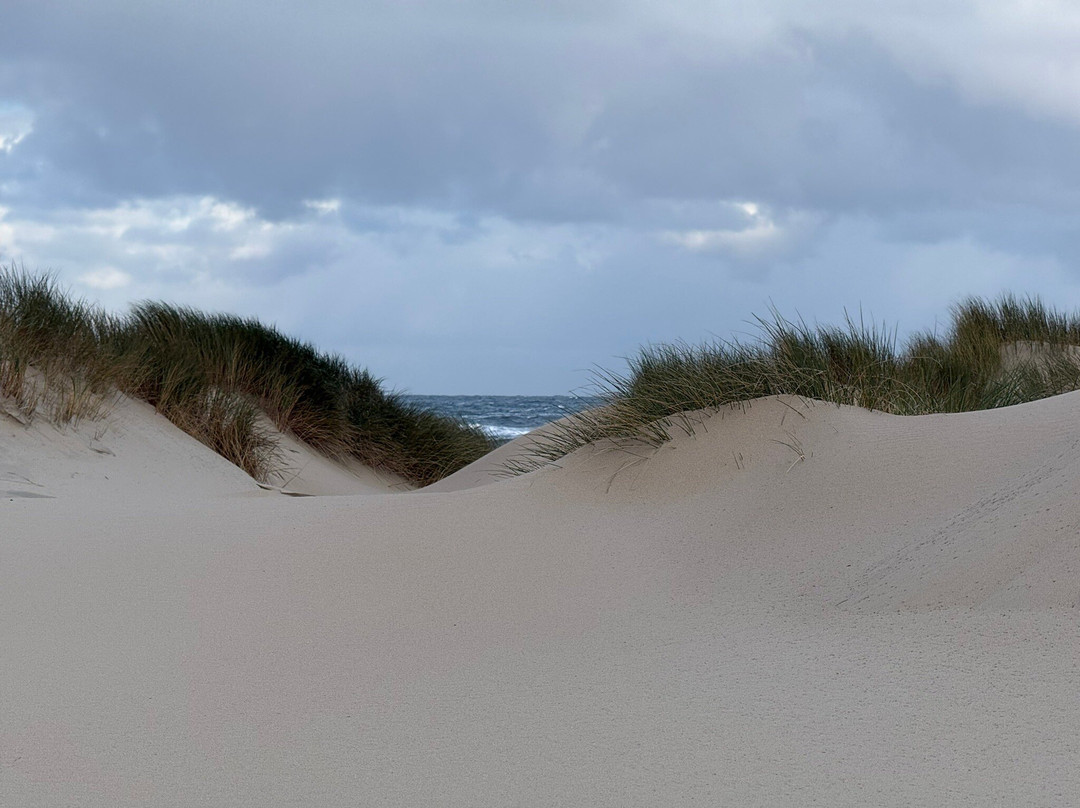 Vuurtorenweg Texel Beach-De Cocksdorp必去景点