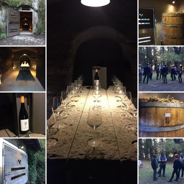Azienda Agricola Palazzone-奥尔维耶托必去景点