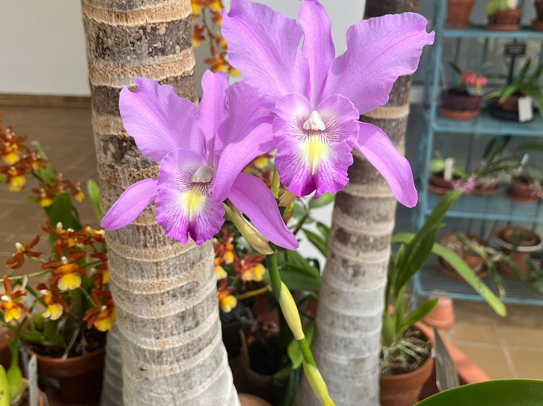 State Botanical Garden of Georgia-阿森斯必去景点