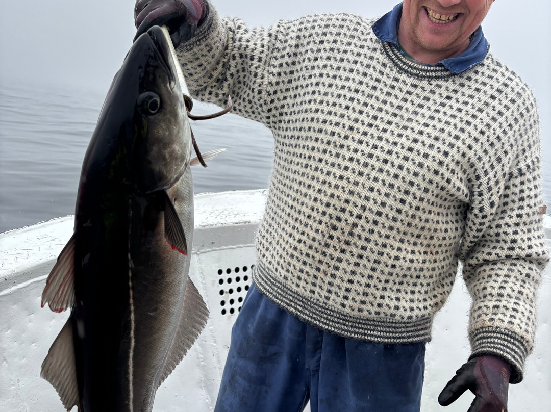 REEL Fishing And RIB Safaries-雷讷必去景点