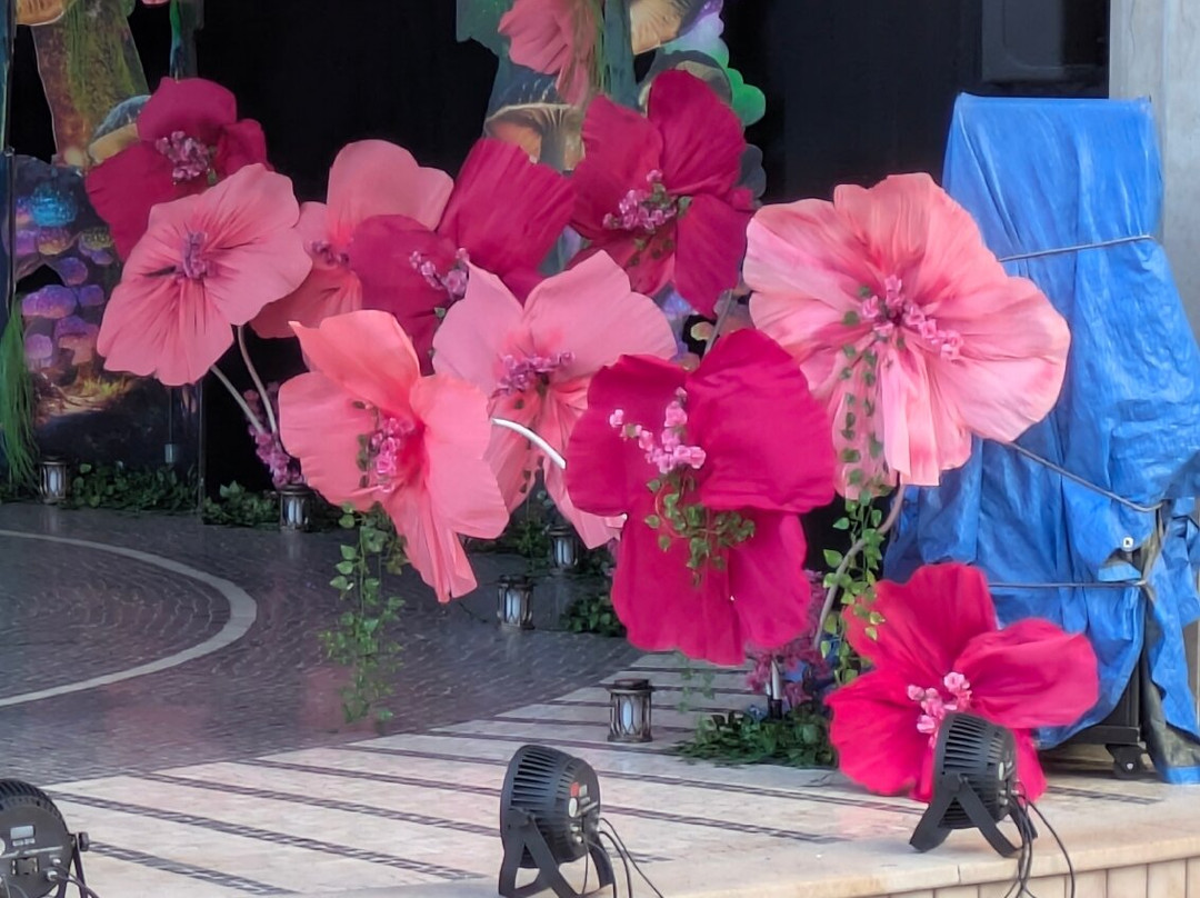 Jardim Municipal do Funchal-沙尔必去景点