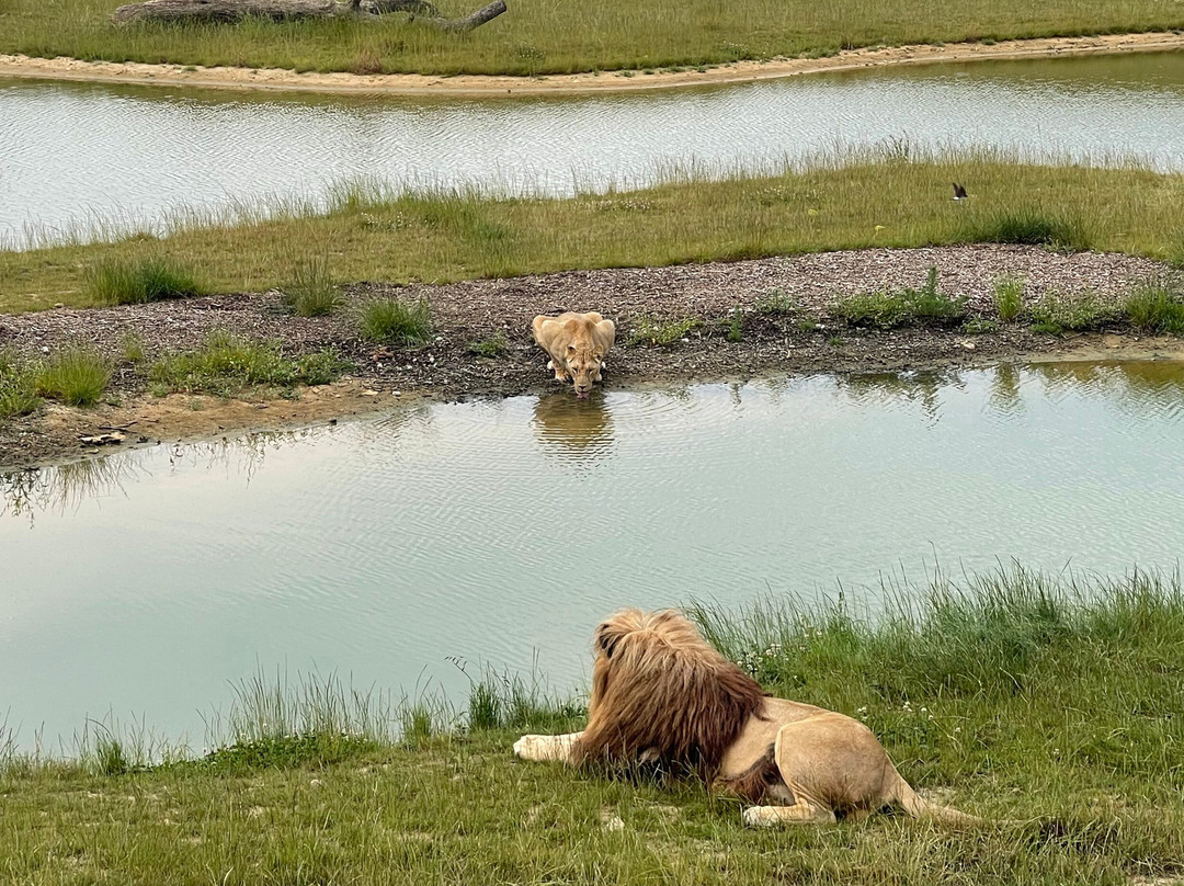 Lumigny Safari Reserve-Lumigny-Nesles-Ormeaux必去景点
