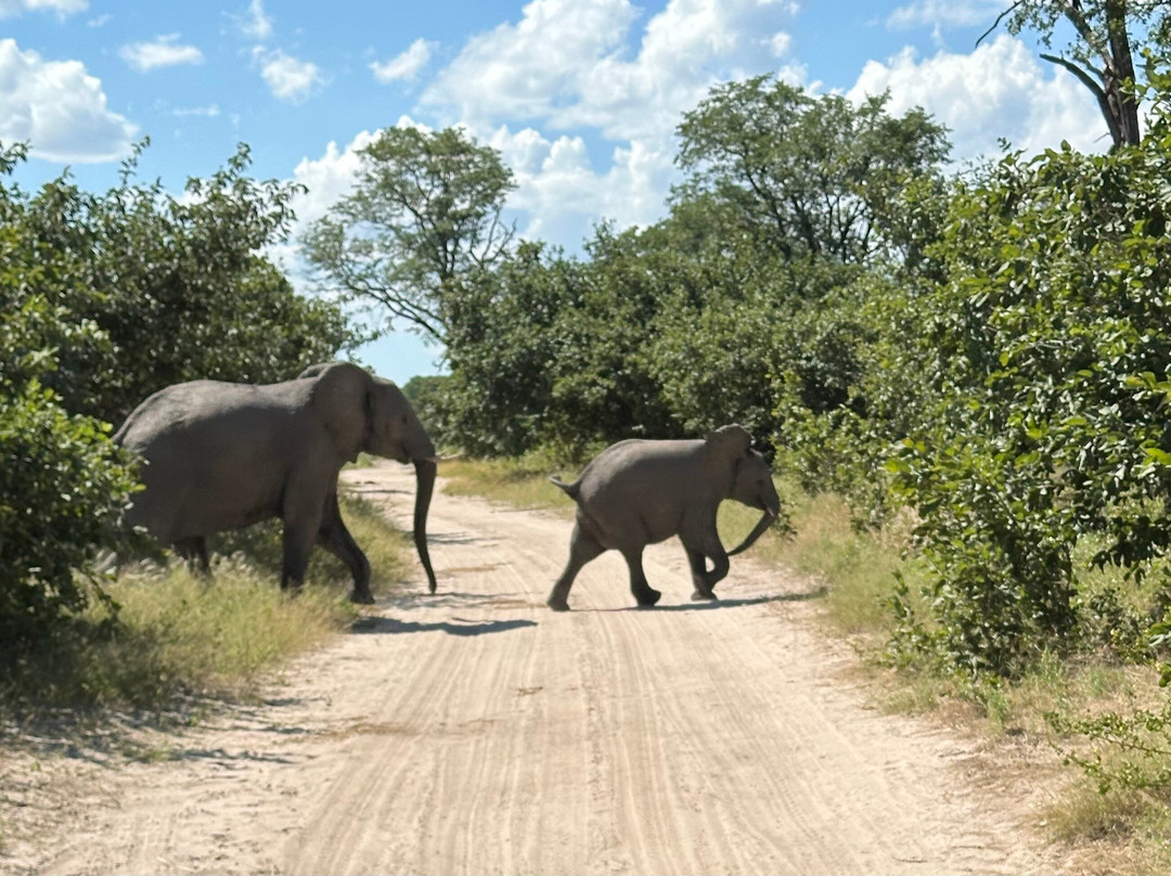 Moremi Game Reserve-马翁必去景点