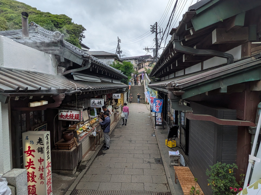 Oiwayado Street-藤泽市必去景点