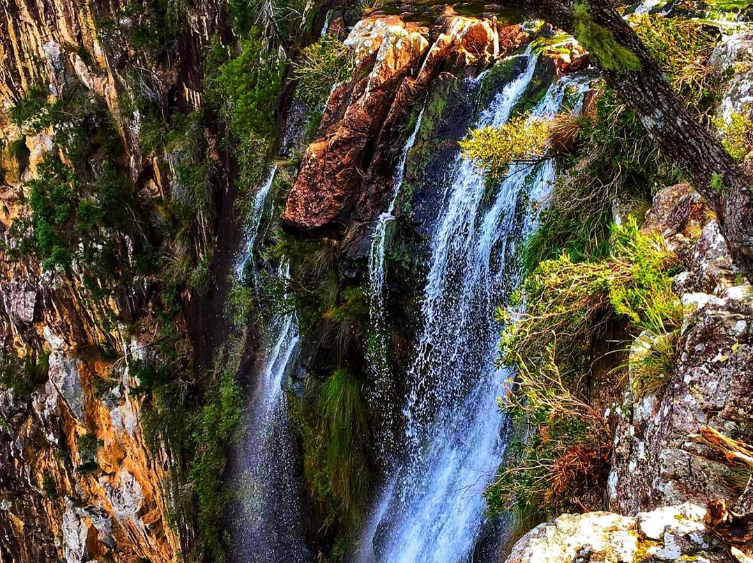 Minyon Falls-Bangalow必去景点