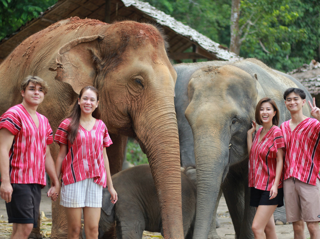 Karen Hilltribe Elephant Sanctuary-Mae Win必去景点