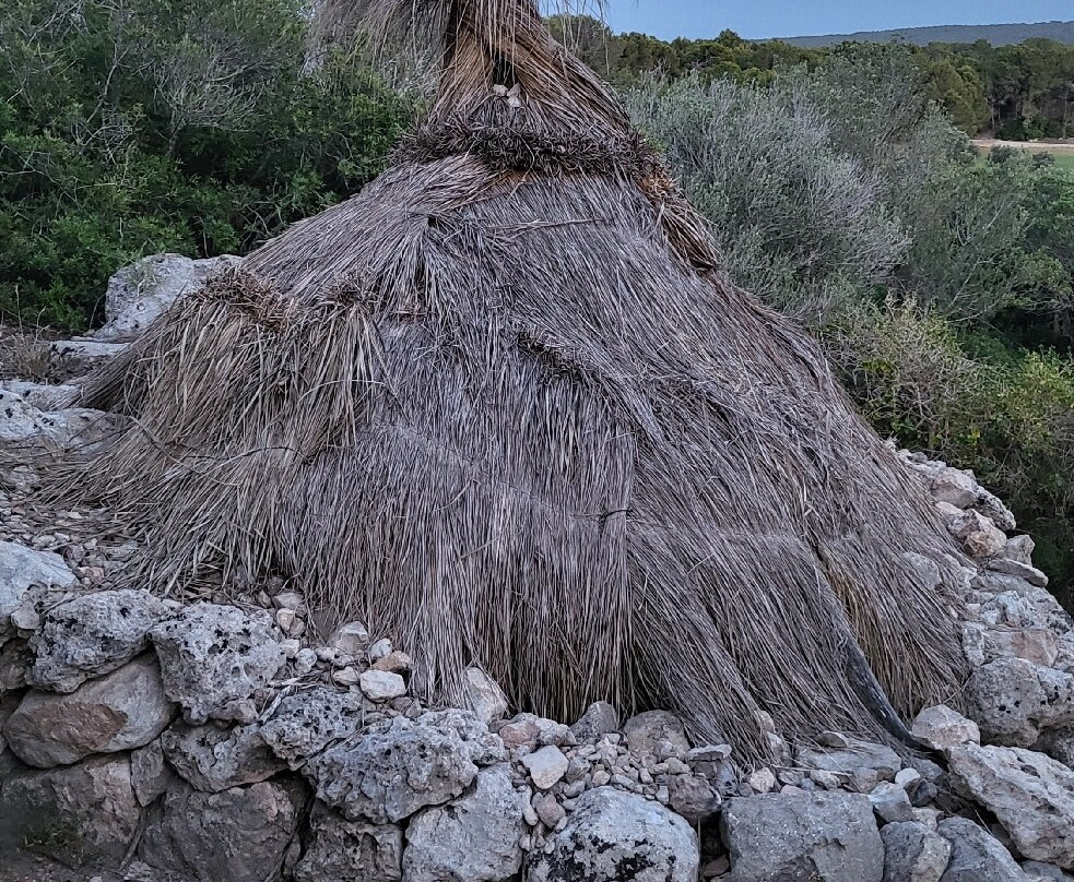 Parque Arqueologico Puig de Sa Morisca-圣庞沙必去景点