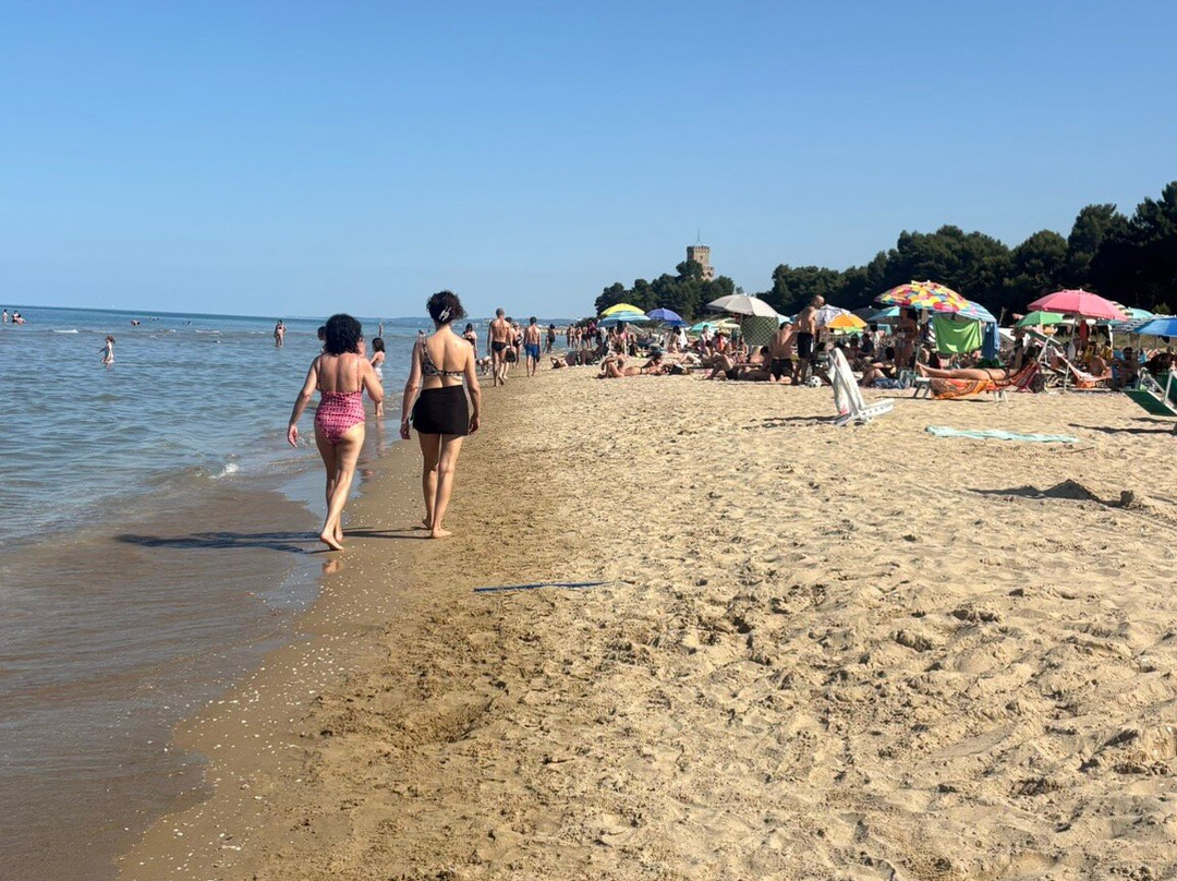 Eucaliptus Beach da Cilli-Pineto必去景点