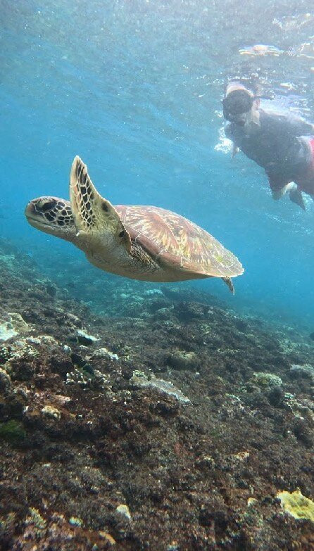 Ceningan Snorkeling Trip-努沙切宁安岛必去景点