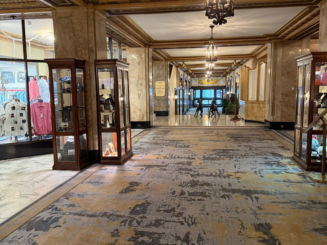 孟菲斯匹尔波地酒店主图