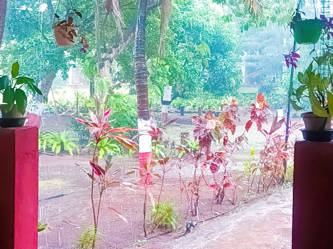 莲花生态海滩度假村Dapoli Murud主图