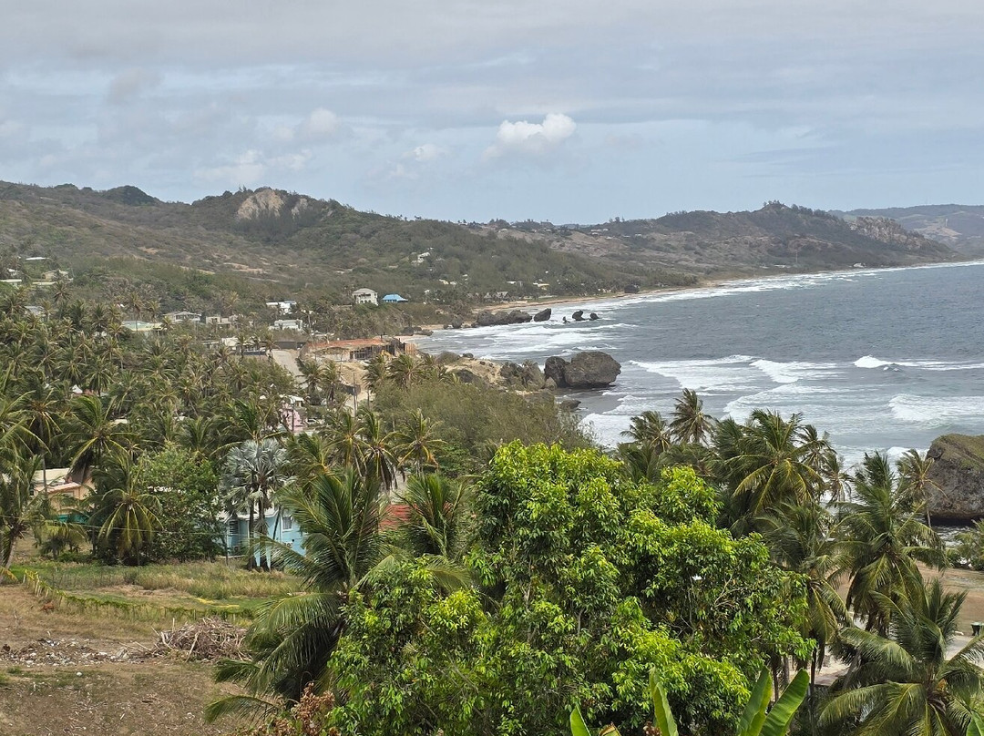 Island Safari Barbados-Saint Michael Parish必去景点