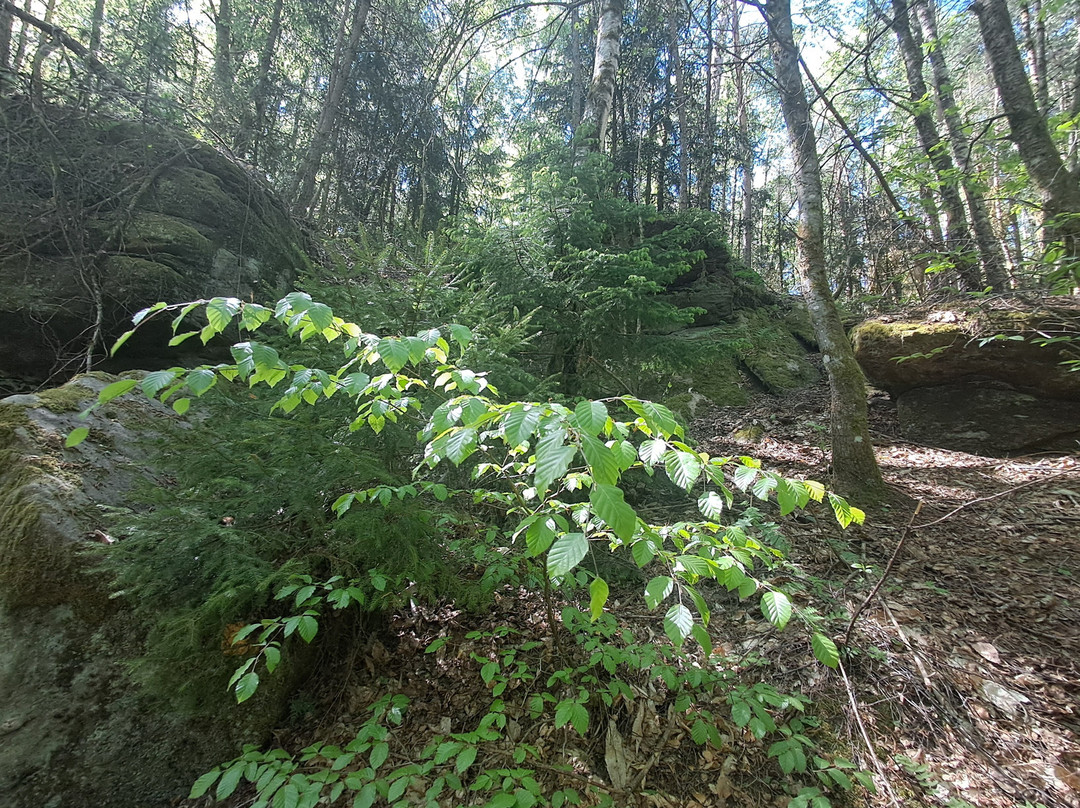 Kirkeler Felsenpfad