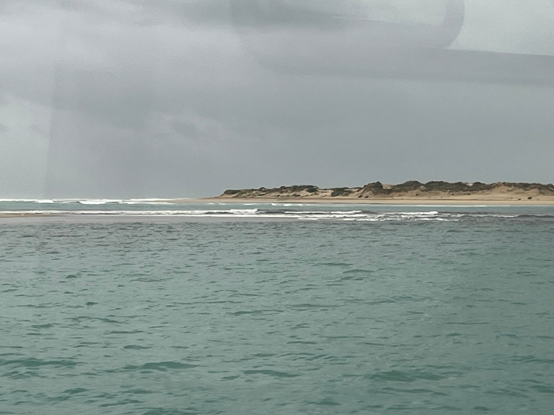 Spirit of the Coorong Cruises-Goolwa必去景点