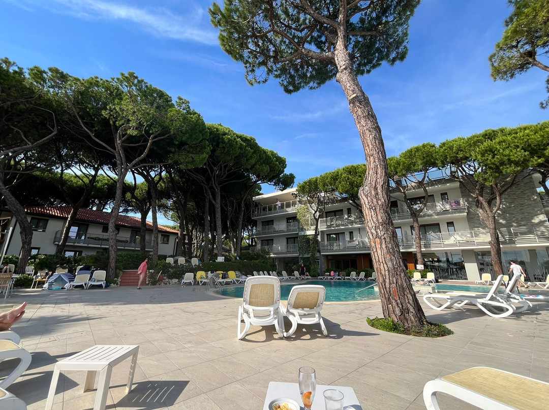 Park Hotel Pineta - Family Relax Resort主图