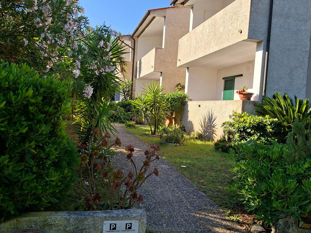 B&b Alex主图
