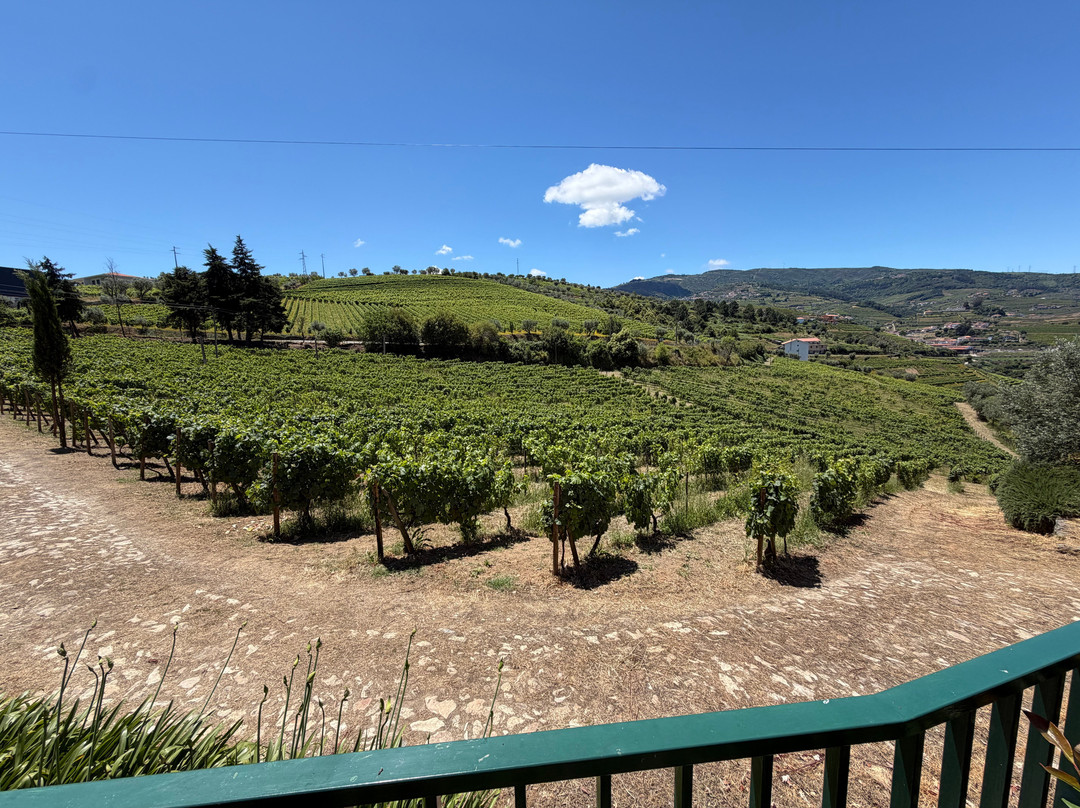 Douro Táxi-佩苏达雷瓜必去景点