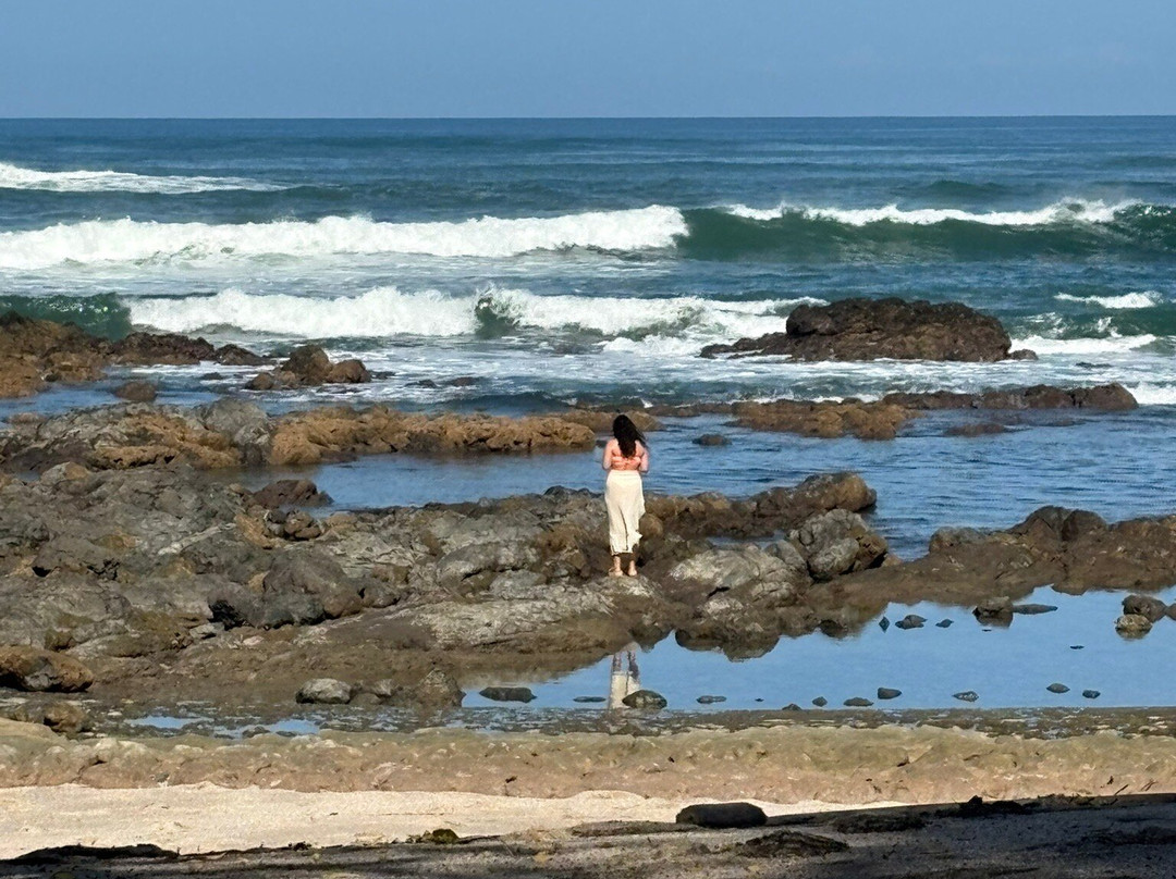 Sueno del Mar Beachfront Bed & Breakfast主图