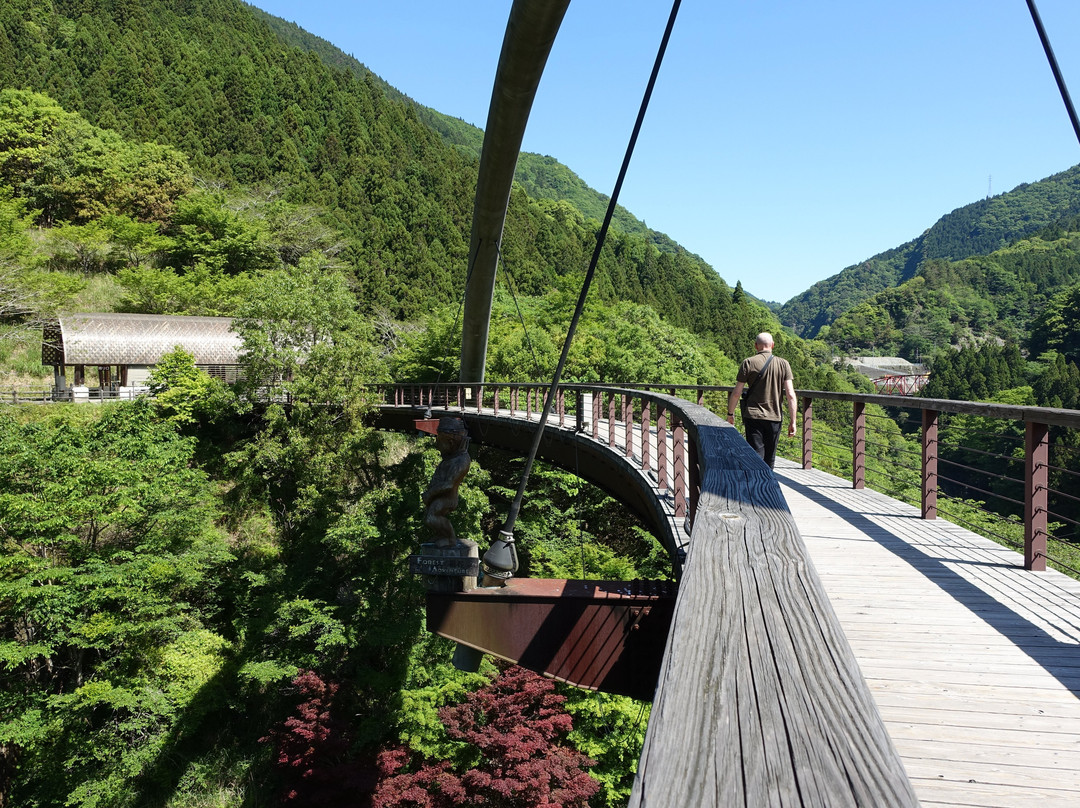 The Peeing Boy Of Iya Gorge-三好市必去景点