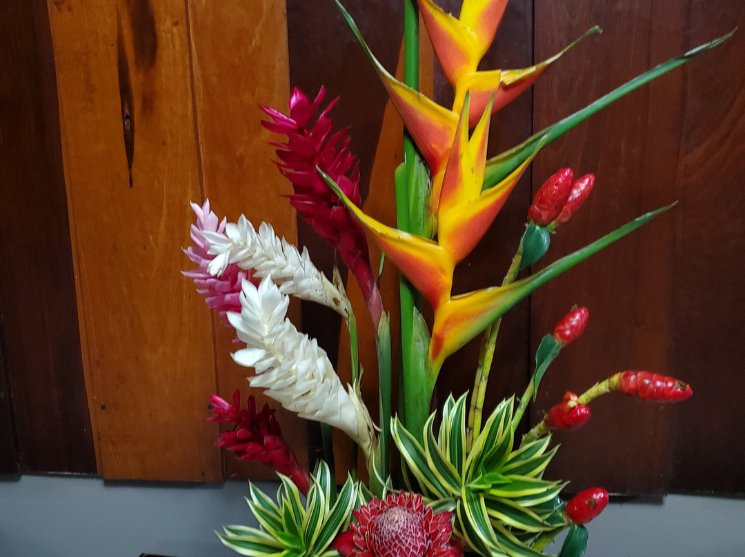 Top Travel Costa Rica-圣何塞必去景点