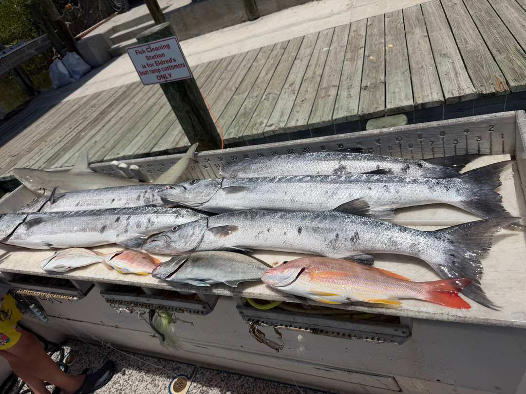 Paradise Fishing Charters-Cape Haze必去景点