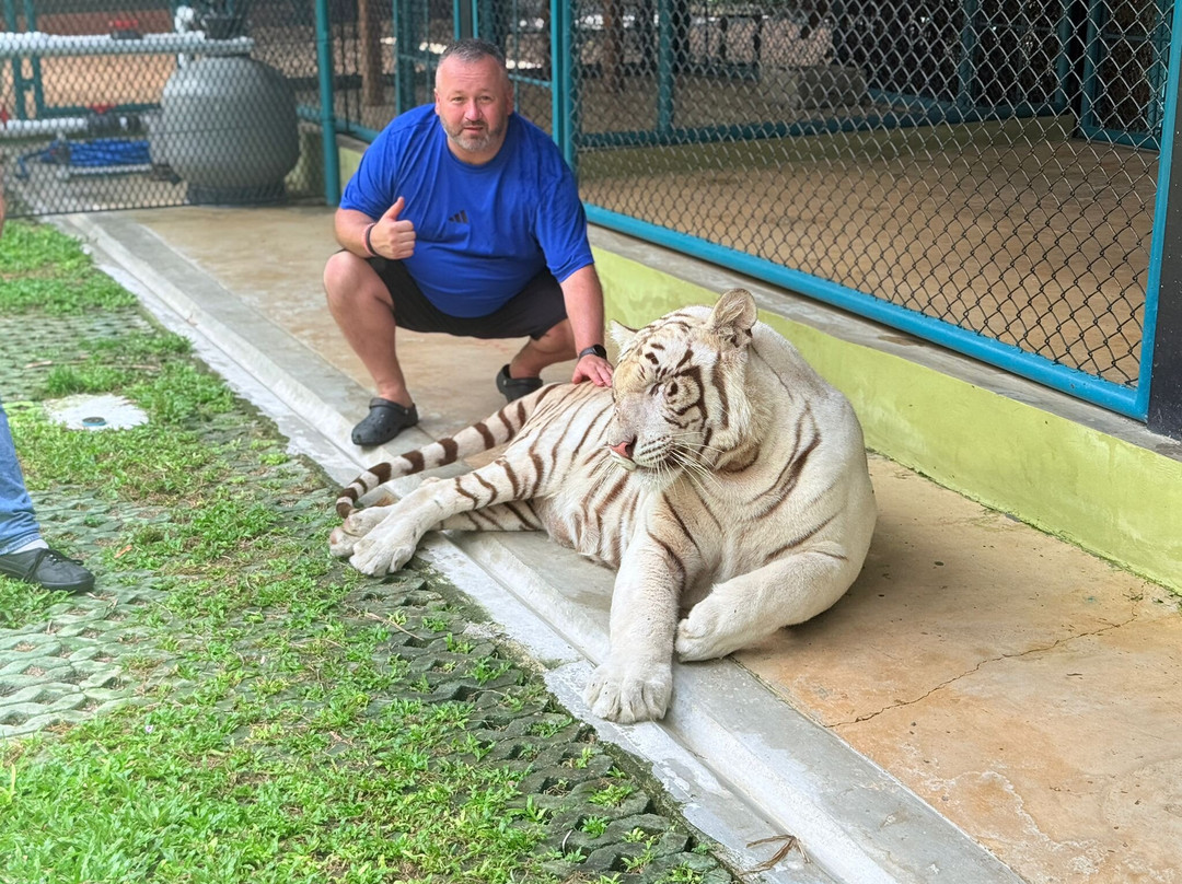 Tiger PARK Phuket-查龙必去景点
