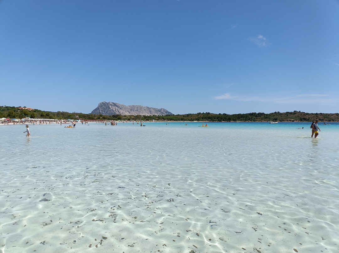 Cala Brandinchi-Capo Coda Cavallo必去景点