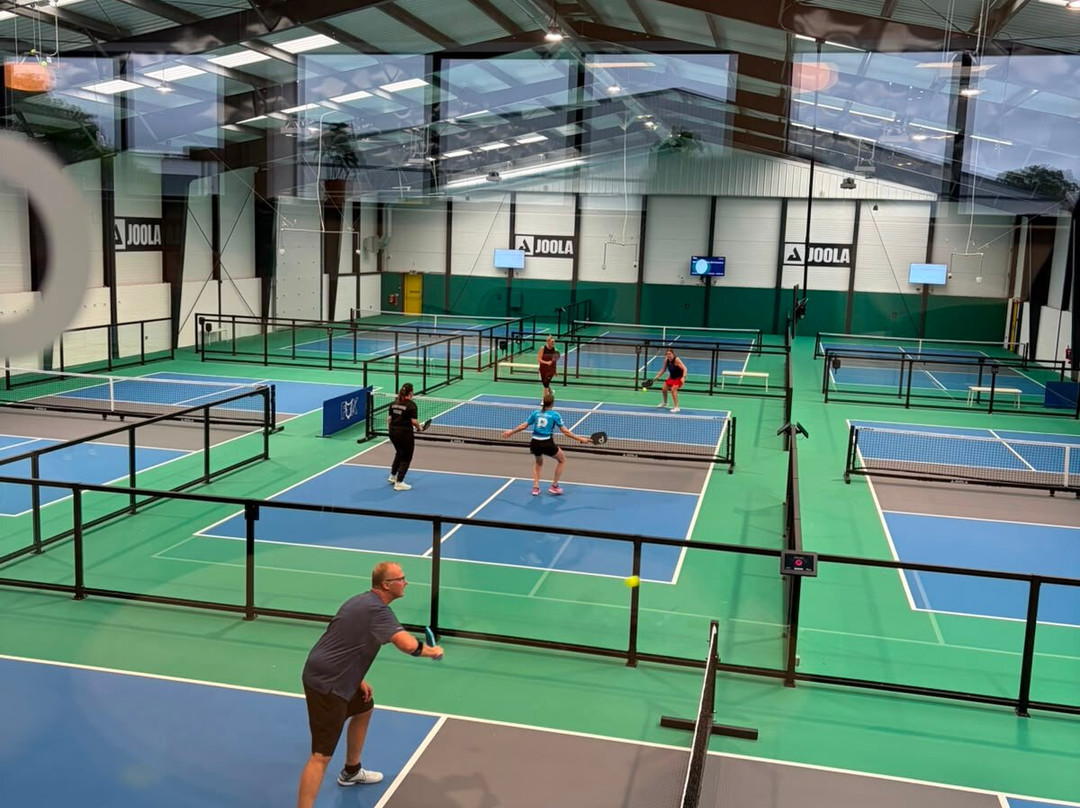 Dinks Pickleball Clubs-Chandler’s Ford必去景点