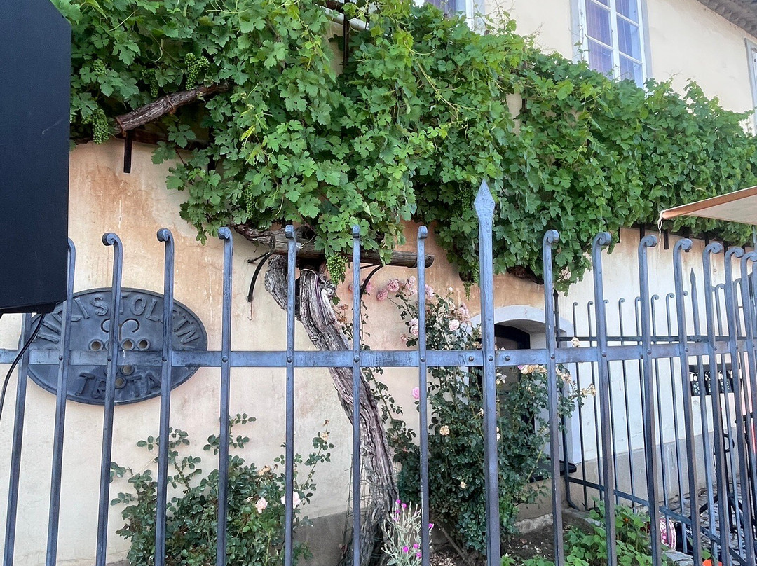 Old Vine House-马里博尔必去景点