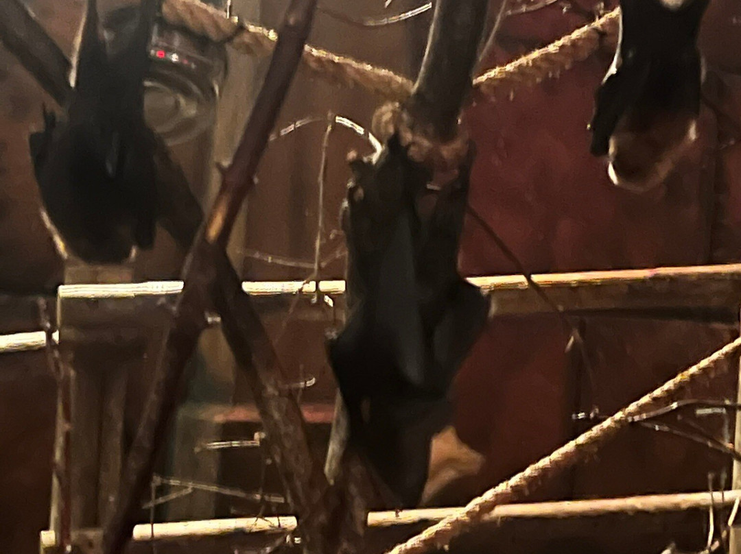 West Midlands Safari Park-Bewdley必去景点