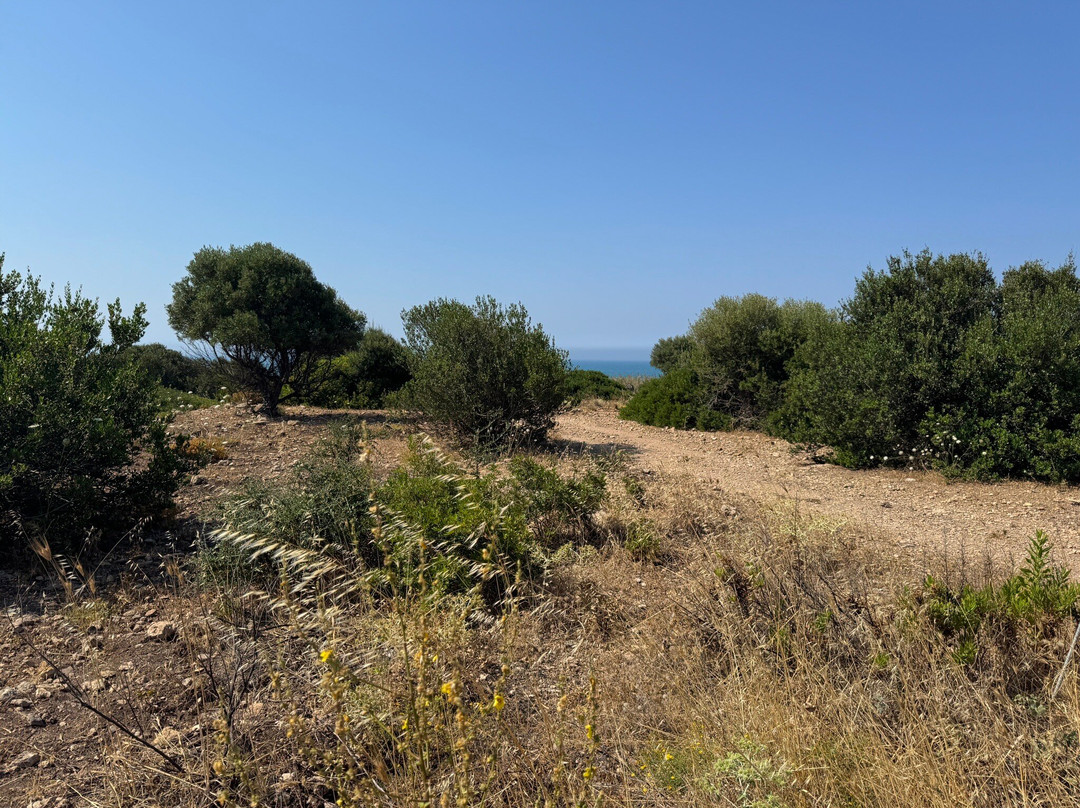 Riserva Naturale del Fiume Irminio-Marina di Ragusa必去景点