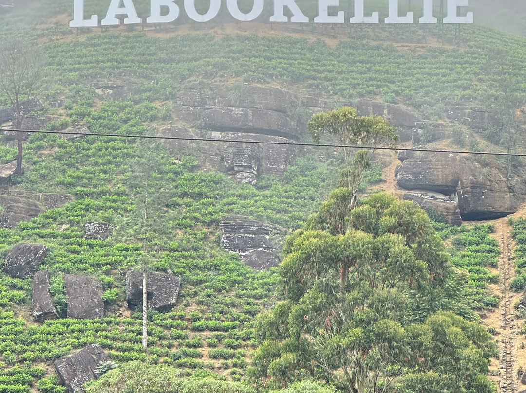 Damro Labookellie Tea Centre and Tea Garden-奴娃拉伊利雅必去景点