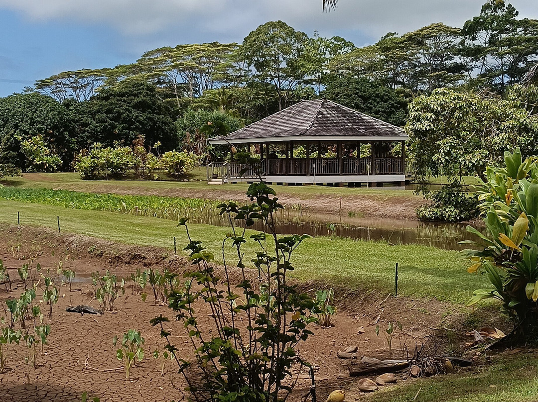 Kauai Plantation Railway-利胡埃必去景点