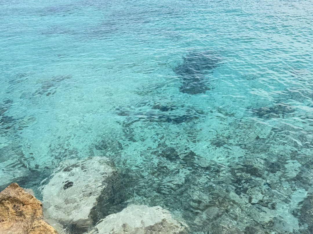 Consorzio del Golfo-Cannigione必去景点