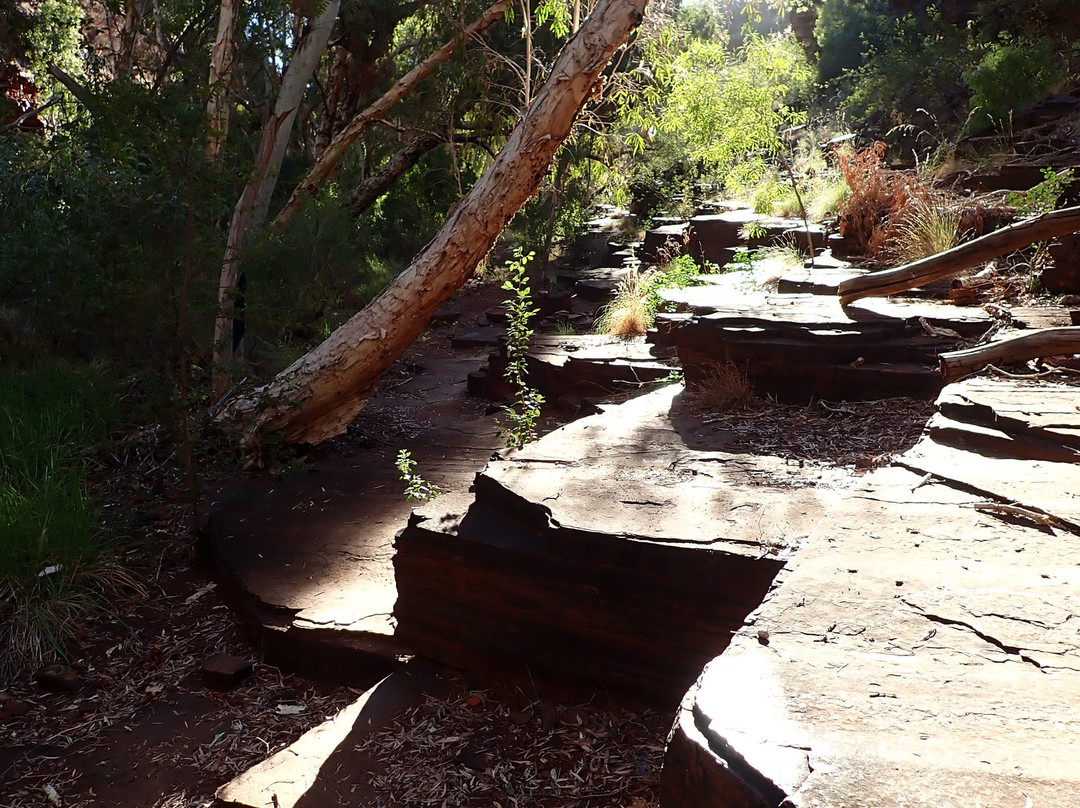Fortescue Falls-Karijini National Park必去景点