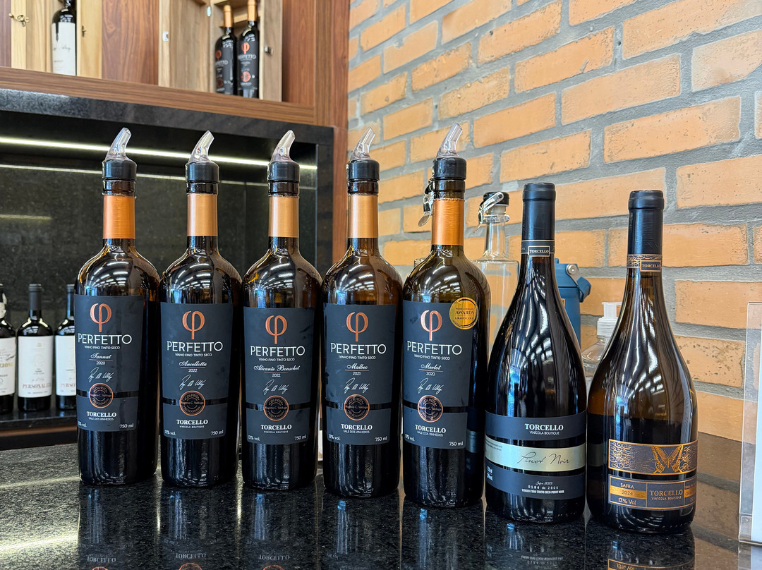 Vinícola Torcello-本图贡萨尔维斯必去景点